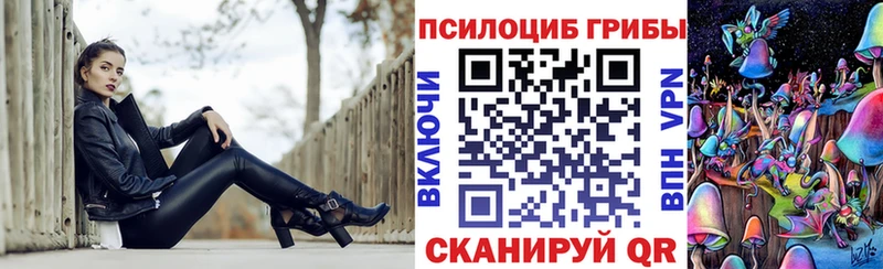 Купить где  Яровое  Псилоцибиновые грибы Cubensis 